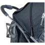 Прогулочная коляска FreeON LUX Grey (44534): Количество блоков 1