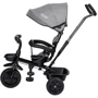 Трехколесный велосипед FreeON Free2Move Sport Black Grey (44169) фото 6