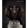 Vincent Lagrange: The Dogs. Human Animals