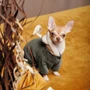 Костюм для собак Pet Fashion ALF хаки M (4823082429998): Тип Костюмы