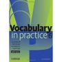 Vocabulary in Practice 6