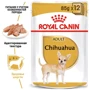 Вологий корм Royal Canin Chihuahua Adult для собак породи Чихуахуа 85 г (2041001): Тип Влажный корм