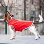 Жилет для собак Pet Fashion FLEECY красно-серый ХS (4823082419661): Тип Жилеты