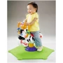Музыкальная качалка Зебра Родео Fisher-Price (K0317)