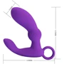 Вибромассажер простаты с функцией памяти LYBAILE Pretty Love Cayla Purple (BI-040170-1)