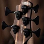 Бас-гітара CORT B5 Element (Open Pore Trans Black): Форма корпусу Jazz Bass