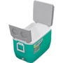 Ізотермічний контейнер Pinnacle Eskimo 57 л (0682622060053TURQUOISE): Тип ізотермічний контейнер