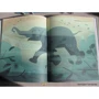 Дитер Браун: Животные Юга: ISBN 978-5-00100-338-0