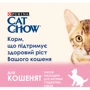 Влажный корм Cat Chow Kitten для котят кусочки в желе с индейкой и цукини 26х85г: Порода Все породы