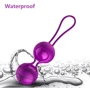 Набор вагинальных шариков с вибрацией и пультом ДУ FOX - Vibrating Silicone Kegel Balls Set USB