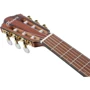 Гитара классическая IBANEZ FRH10N-BSF: Форма корпуса Нестандартная