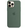 Чехол для iPhone Apple Silicone Case with MagSafe Eucalyptus (MN6C3) for iPhone 13 Pro Max: Цвет зеленый