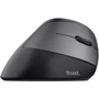 Мышь Trust Bayo ECO Wireless Black (24731): Интерфейс подключения Wireless