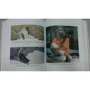 Садхгуру: Размышления мистика. Ответы на все вопросы: ISBN 978-617-7808-87-8