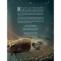 Адріан Махо: Ґерда. Книга 2. Розповідь про мужність на морі: Виробник BookChef