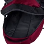 Женский рюкзак Onepolar малиновый (W1801-red): Тип ручки Плечевой ремень, Короткая ручка