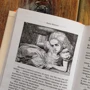 Льюис Кэрролл: Алиса в Стране чудес и в Зазеркалье: Производитель Эксмо