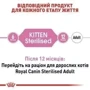Сухой корм для стерилизованных котят Royal Canin Kitten Sterilised 3.5 кг (2562035): Тип Сухой корм