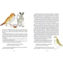 Братья Гримм. Самые любимые сказки (иллюстр. С. Брикс): Производитель Махаон