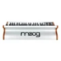 Аналоговый синтезатор Moog Subsequent 37 фото 1