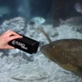 Скребок JBL Floaty Shark для стекла 20-30 мм (61374) фото 6