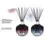 Дифузор Maison Berger Paris Molecule Bleue Nuit 428 мл + наповнювач з ароматом Under The Magnolias 200 мл (6840) фото 3