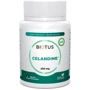 Biotus Celandine Чистотіл 250 мг 90 таблеток