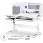 Детский стол Mealux Winnipeg Multicolor WG + G (арт.BD-630 WG + G Multicolor)