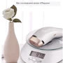 Отпариватель Inspire HS06 White: Мощность, Вт 650