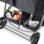 Прогулочная коляска для двойни Hauck Rapid 3R Duo с адаптерами (silver/charcoal) фото 9