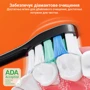 Зубная щетка Bitvae Smart S2 E-Toothbrush Pink (BVS2-p) фото 6