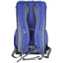 Рюкзак Рюкзак Deuter Walker 20 колір 3392 indigo-navy (3810617 3392): Колір синій
