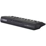 Синтезатор Yamaha PSR-SX600: Кількість вбудованих тембрів 851