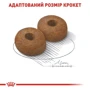 Сухой корм Royal Canin Maxi Ageing 8+ для собак крупных пород старше 8 лет 15 кг (2454150): Класс Супер премиум