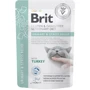 Влажный корм Brit GF VetDiet Urinary and Stress Relief с индейкой 12 x 85 г (8595602566778): Тип Влажный корм