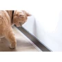 Смарт ошейник для котят Cheerble Amusing Collar Cat Toy Black Черный (6971883204226) фото 5