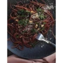Елена Ермоленко: Легко и вкусно. Необычное сочетание обычных продуктов: Автор Елена Ермоленко