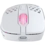 Мишка Xtrfy M4 RGB Wireless White (XG-M4-WL-WHITE): Тип сенсора оптический