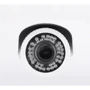 Вулична IP-відеокамера Tecsar IPW-2M-40V-poe / 2 (000005512): Тип корпуса вулична