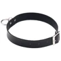 Чокер-нашийник SKN-AS04 BLACK
