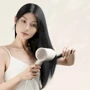 Фен Xiaomi DOCO Dual Negative Ion Hair Dryer White AN001: Тип Компактный