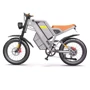 Электровелосипед Coswheel GT20 (750 Вт, 48 В, 25 А/час), колеса 20", серый: Допустимая нагрузка, кг 120