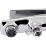 Q-tap Vlasta 3028102GC: Вид монтажа Настенный