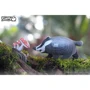 Сборная 3D модель Eugy Зоопарк: Барсук (XEG-094)