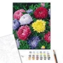 Картина за номерами Brushme Різнокольорові айстри 40х50 см (BS54120): Виробник Brushme