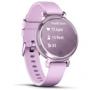 Смарт-часы Garmin Lily 2 Metallic Lilac with Lilac Silicone Band (010-02839-00): Дисплей 1"x0.84" (25.4x21.3 мм) TFT (240x201 pixels)