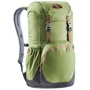 Рюкзак Рюкзак Deuter Walker 20 колір 2443 pine-graphite (3810617 2443)