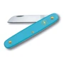 Нож Victorinox Floral 100мм/1 функция/голубой матовый (3.9050.25B1)