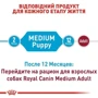 Сухой корм для щенков Royal Canin Medium Puppy средних пород 1 кг (30030101): Класс Супер премиум