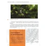 Комахи та інші. Енциклопедія для допитливих фото 6